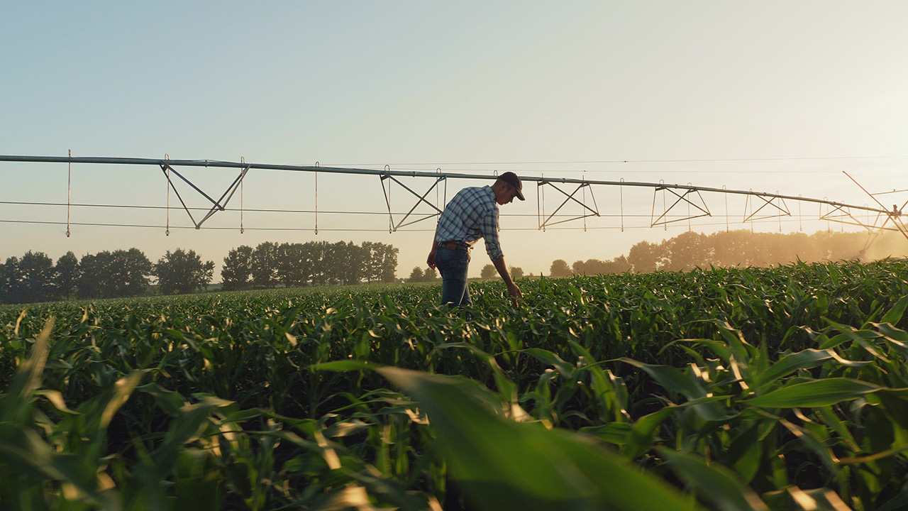 Farmers, landowners and families with farm transition needs